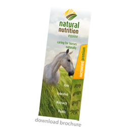 Natural Nutrition Equine Brochure | Caring For Horses Naturally